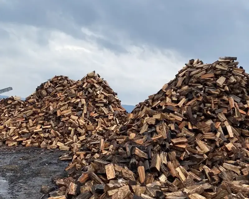 Several piles of split firewood with a clear lane between them