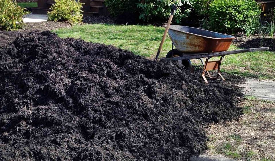 black mulch pile with wheelbarrow on a lawn